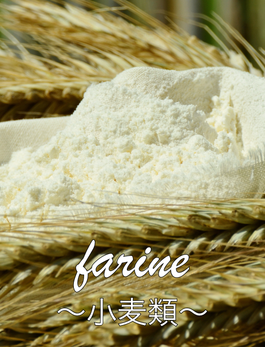 farine 小麦類